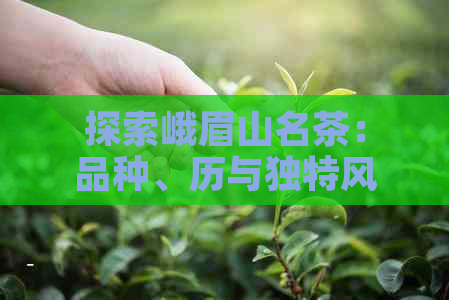 探索峨眉山名茶：品种、历与独特风味