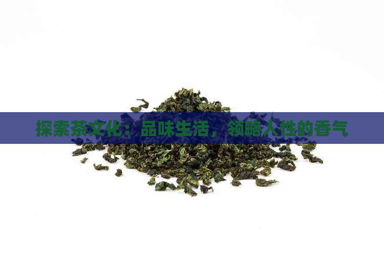 探索茶文化：品味生活，领略人性的香气