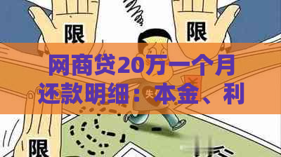 网商贷20万一个月还款明细：本金、利息和逾期费用详细说明