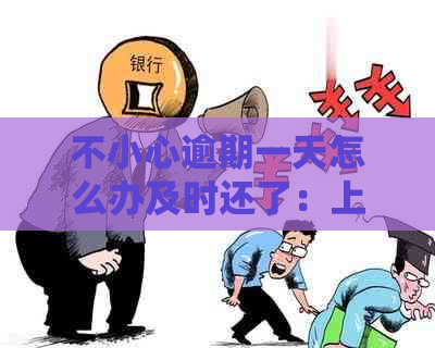 不小心逾期一天怎么办及时还了：上吗？