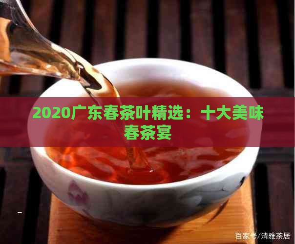 2020广东春茶叶精选：十大美味春茶宴