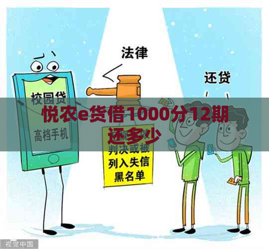 悦农e货借1000分12期还多少