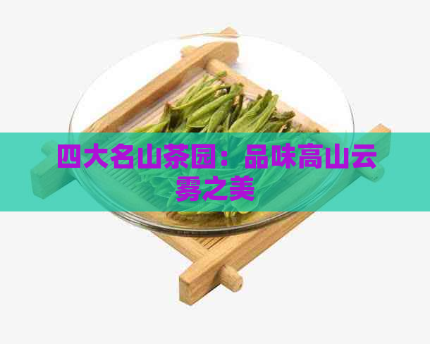 四大名山茶园：品味高山云雾之美