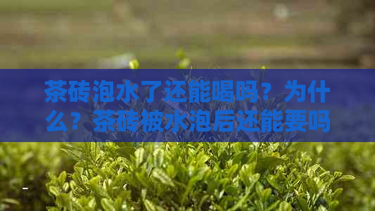 茶砖泡水了还能喝吗？为什么？茶砖被水泡后还能要吗？