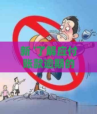 新 '了解应付账款逾期的含义及相关影响：关键步骤与应对策略'