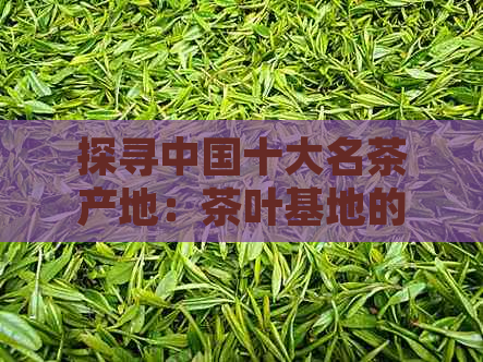 探寻中国十大名茶产地：茶叶基地的魅力与风味