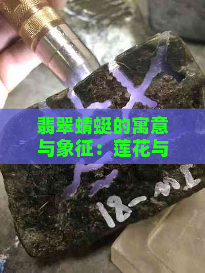 翡翠蜻蜓的寓意与象征：莲花与飞行精神的结合