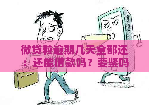 微贷粒逾期几天全部还：还能借款吗？要紧吗？