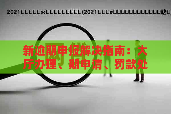 新逾期申报解决指南：大厅办理、期申请、罚款处理等一网打尽