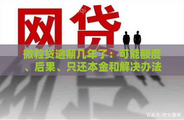 微粒贷逾期几年了：可能额度、后果、只还本金和解决办法，以及法院执行情况