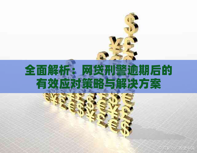 全面解析：网贷刑警逾期后的有效应对策略与解决方案