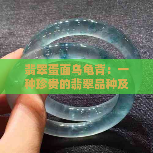 翡翠蛋面乌龟背：一种珍贵的翡翠品种及其特点解析