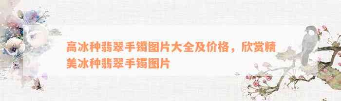 高冰种翡翠手镯图片大全及价格，欣赏精美冰种翡翠手镯图片_翡翠_台州19楼