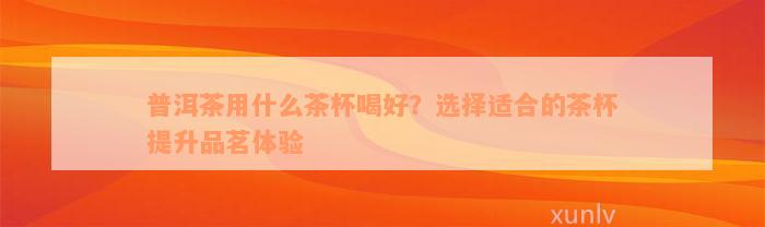 普洱茶用什么茶杯喝好？选择适合的茶杯提升品茗体验