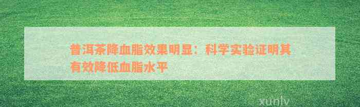 普洱茶降血脂效果明显：科学实验证明其有效降低血脂水平