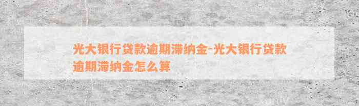 光大银行贷款逾期滞纳金-光大银行贷款逾期滞纳金怎么算