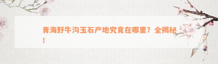 青海野牛沟玉石产地究竟在哪里？全揭秘！