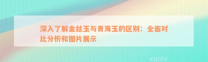 深入了解金丝玉与青海玉的区别：全面对比分析和图片展示