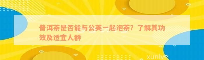 普洱茶是否能与公英一起泡茶？了解其功效及适宜人群