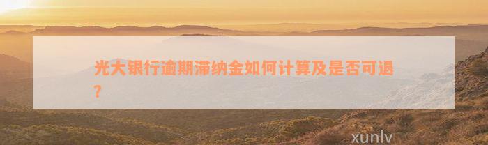 光大银行逾期滞纳金如何计算及是否可退？