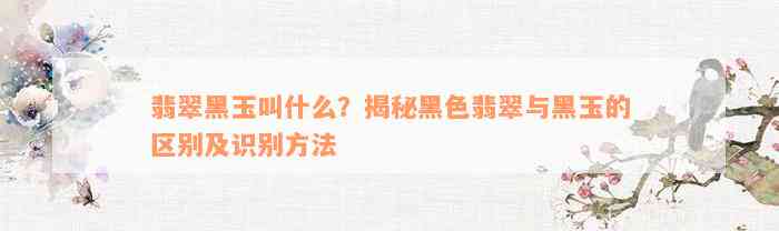 翡翠黑玉叫什么？揭秘黑色翡翠与黑玉的区别及识别方法