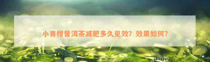 小青柑普洱茶减肥多久见效？效果如何？