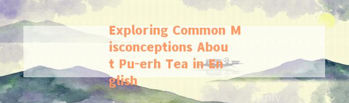 Exploring Common Misconceptions About Pu-erh Tea in English
