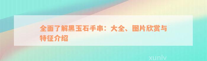 全面了解黑玉石手串：大全、图片欣赏与特征介绍