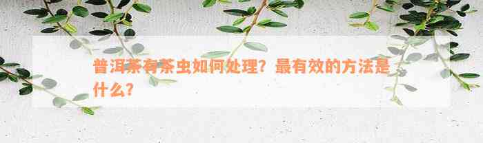 普洱茶有茶虫如何处理？最有效的方法是什么？