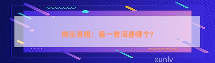 揭示真相：第一普洱是哪个？