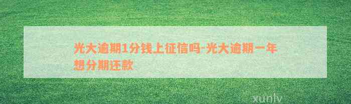 光大逾期1分钱上征信吗-光大逾期一年想分期还款