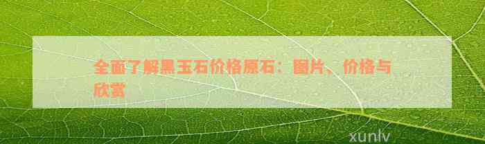 全面了解黑玉石价格原石：图片、价格与欣赏