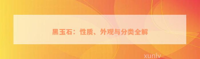 黑玉石：性质、外观与分类全解