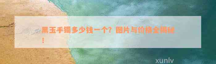 黑玉手镯多少钱一个？图片与价格全揭秘！