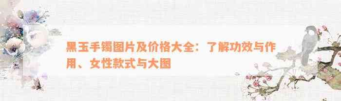 黑玉手镯图片及价格大全：了解功效与作用、女性款式与大图