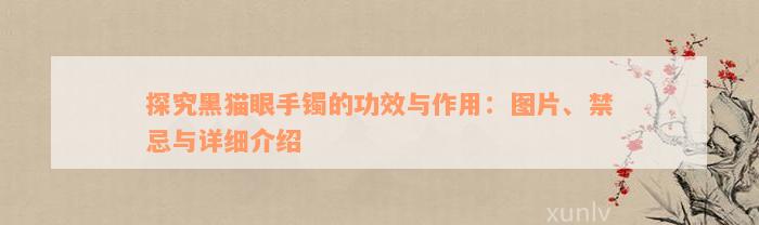 探究黑猫眼手镯的功效与作用：图片、禁忌与详细介绍