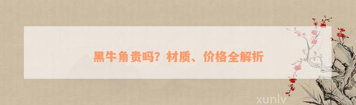 黑牛角贵吗？材质、价格全解析