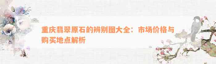 重庆翡翠原石的辨别图大全：市场价格与购买地点解析