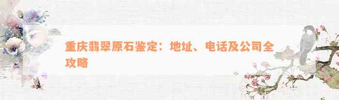 重庆翡翠原石鉴定：地址、电话及公司全攻略