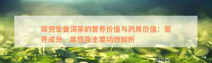 探究生普洱茶的营养价值与药用价值：营养成分、属性及主要功效解析