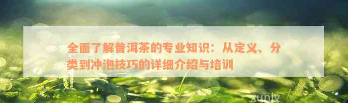 全面了解普洱茶的专业知识：从定义、分类到冲泡技巧的详细介绍与培训