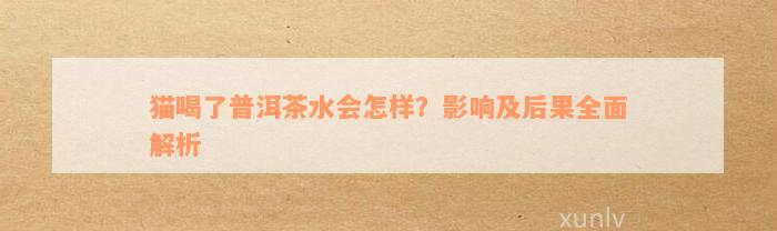 猫喝了普洱茶水会怎样？影响及后果全面解析