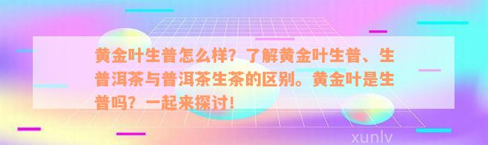 黄金叶生普怎么样？了解黄金叶生普、生普洱茶与普洱茶生茶的区别。黄金叶是生普吗？一起来探讨！