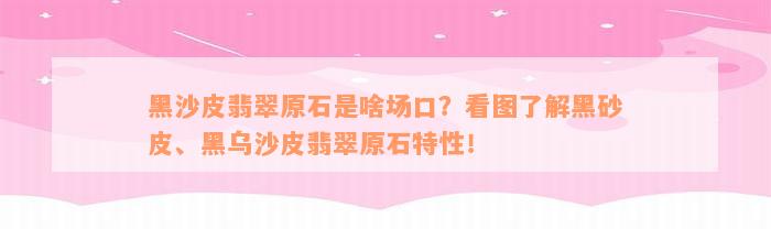 黑沙皮翡翠原石是啥场口？看图了解黑砂皮、黑乌沙皮翡翠原石特性！