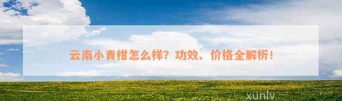 云南小青柑怎么样？功效、价格全解析！