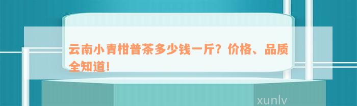 云南小青柑普茶多少钱一斤？价格、品质全知道！