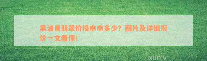 黑油青翡翠价格串串多少？图片及详细报价一文看懂！