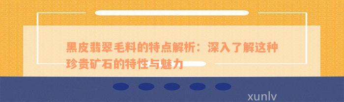 黑皮翡翠毛料的特点解析：深入了解这种珍贵矿石的特性与魅力