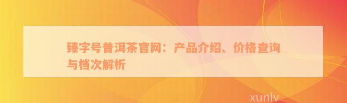 臻字号普洱茶官网：产品介绍、价格查询与档次解析