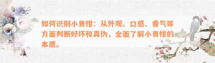 如何识别小青柑：从外观、口感、香气等方面判断好坏和真伪，全面了解小青柑的本质。